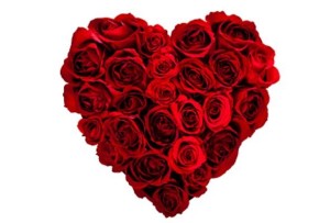 heart-roses1_0